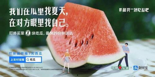夏天就是要清爽吃瓜,尽享瓜果盛宴
