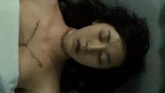 解剖女尸案吃瓜,揭开神秘面纱，探寻真相背后的人性较量