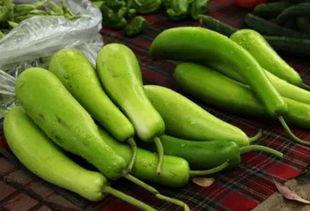 葫芦瓜不能炒着吃,告别炒菜，探索美味新境界