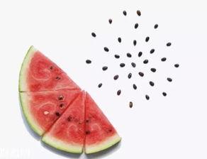 吃瓜偶尔不吐籽儿,吃瓜新体验