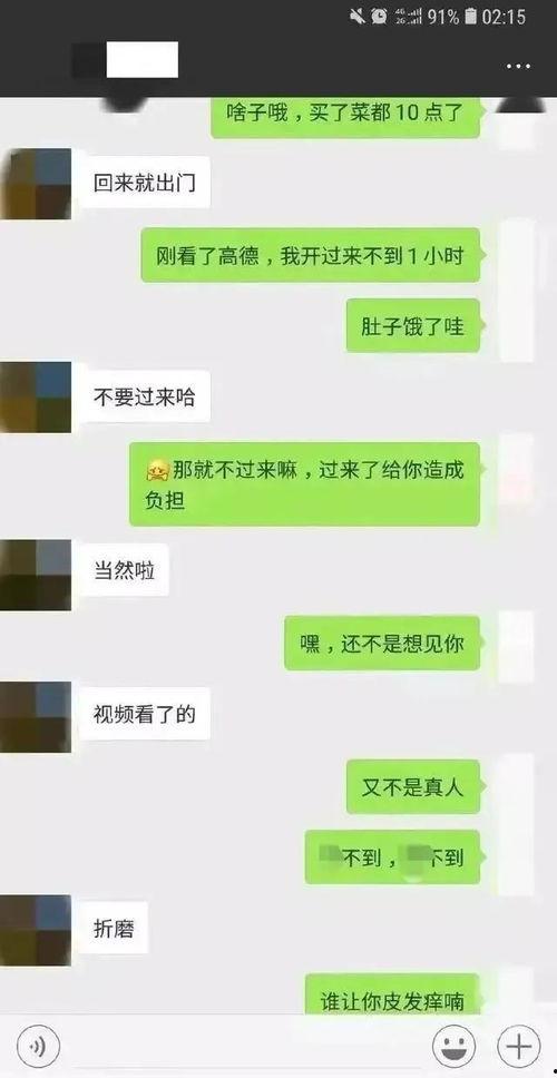 聊天记录 吃瓜,一场吃瓜盛宴背后的真相