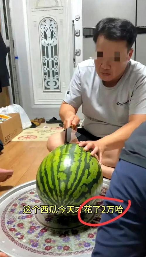 如何买瓜吃,教你如何挑选与品尝完美西瓜