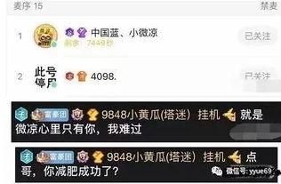吃瓜直播网名,揭秘网红吃瓜背后的故事
