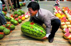 深圳沙井疫情吃瓜,吃瓜群众视角下的社区防疫众生相