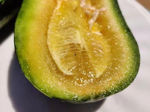 云沐吃瓜,揭秘娱乐圈幕后故事