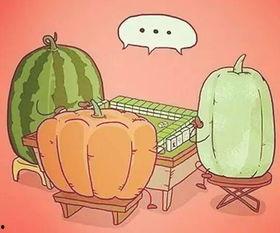 吃瓜去哪儿,带你探索美食之旅的奥秘