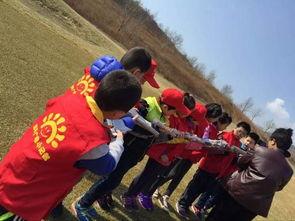 吃瓜前线小记者,娱乐圈幕后风云