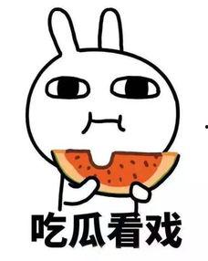 吃瓜的小涵,揭秘娱乐圈那些事儿