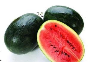 瓜哥吃瓜回文怎么写的啊,回文趣味横生