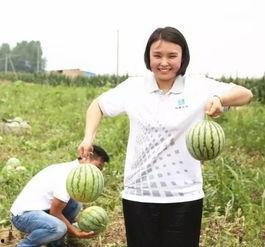 燕郊吃瓜团,揭秘网络热点的幕后故事