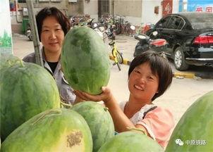 孝感小区吃瓜,邻里吃瓜，共享欢乐时光