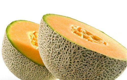 哈密瓜的幼瓜可做菜吃吗