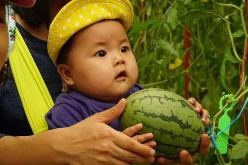 亲亲免费吃瓜群,揭秘网络社交新潮流