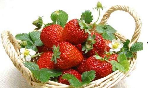 角瓜和草莓可以一起吃吗,探索健康搭配的美食奥秘