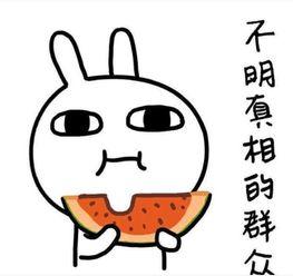 搞笑吃瓜故事,那些让人捧腹的吃瓜故事