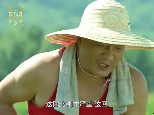 乡村爱情吃蜜瓜,蜜瓜盛宴见证乡村风情