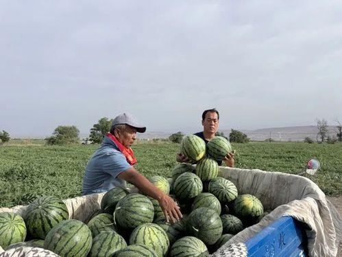 后海吃瓜,一场吃瓜群众的狂欢盛宴