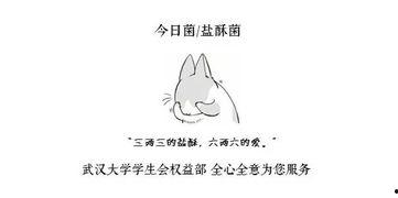 吃瓜少年的早读,揭秘校园生活点滴