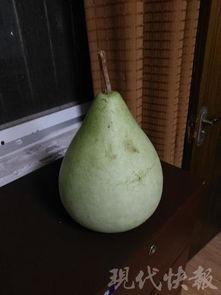 盐城space吃瓜,揭秘网红吃瓜背后的故事