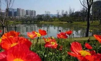 富阳银湖吃瓜,畅享清凉夏日时光