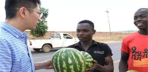 黑瓜吃瓜在线观看,揭秘网络热门事件背后的真相