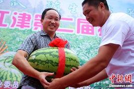 重庆跳舞吃瓜,跳舞吃瓜，感受这座山城的热辣生活风情