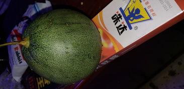 吃瓜带籽吃果带皮,品味生活的小确幸