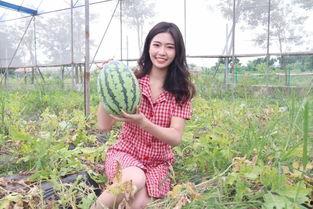 外围网红吃瓜福利,揭秘娱乐圈幕后故事