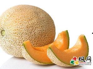 周公解梦见吃瓜