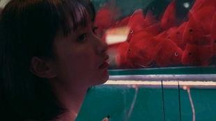 吃瓜少女2333,网络红人的崛起之路