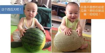 小哥俩吃瓜,小哥俩瓜田奇遇记