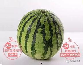 诗涵吃瓜,揭秘娱乐圈的甜蜜与苦涩