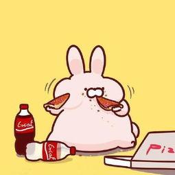 兔子吃瓜文案短句,趣味横生，轻松一刻