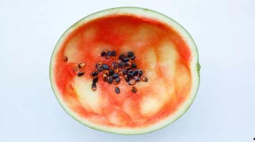 电梯吃瓜剩勺子,吃瓜剩勺子的神秘之旅