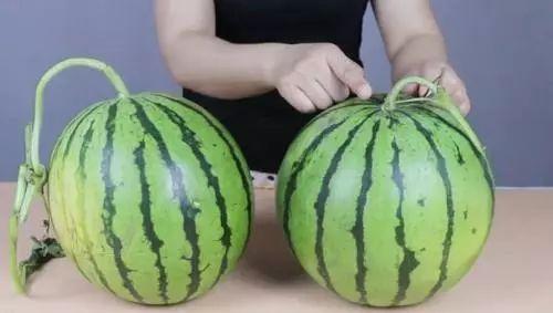 安城中学吃瓜,揭秘校园里的那些事儿