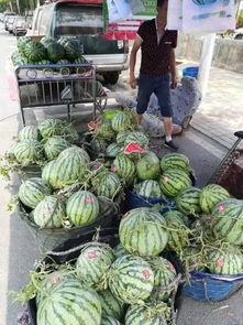 山西介休吃瓜事件,一场网络热议背后的真相与反思