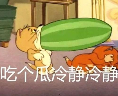 猫和老鼠小老鼠吃瓜