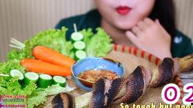 吃瓜蛇姐,揭秘娱乐圈背后的那些事儿