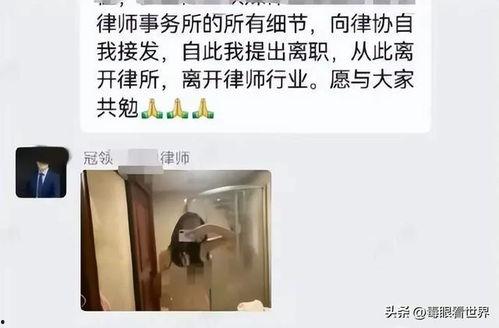 女律师上海吃瓜,揭秘都市律政圈的八卦风云