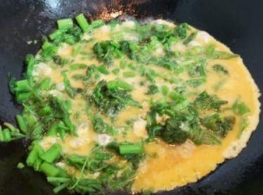 蓝瓜头怎么吃,解锁独特口感与美味秘诀