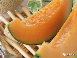 开哈密瓜吃瓜视频