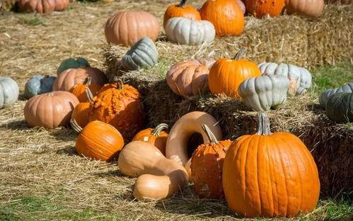 吃瓜群众的内线